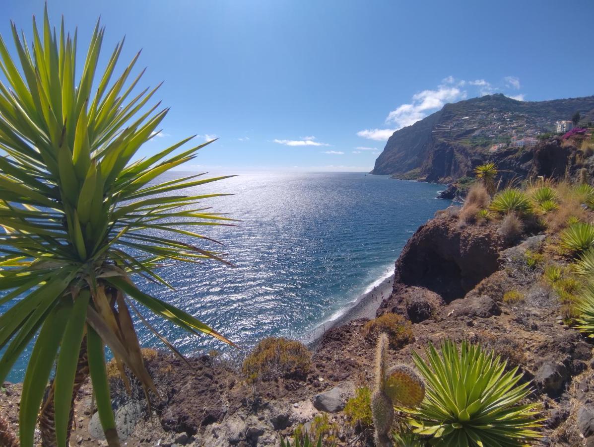 Attic Bay Daire Câmara de Lobos Dış mekan fotoğraf