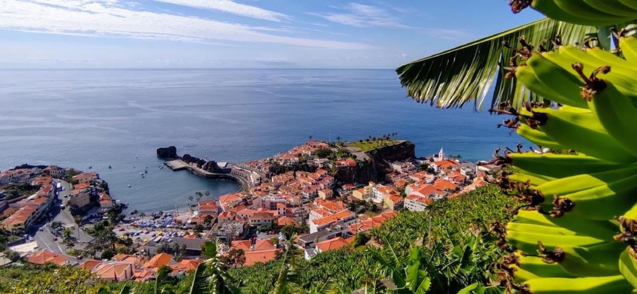 Attic Bay Daire Câmara de Lobos Dış mekan fotoğraf